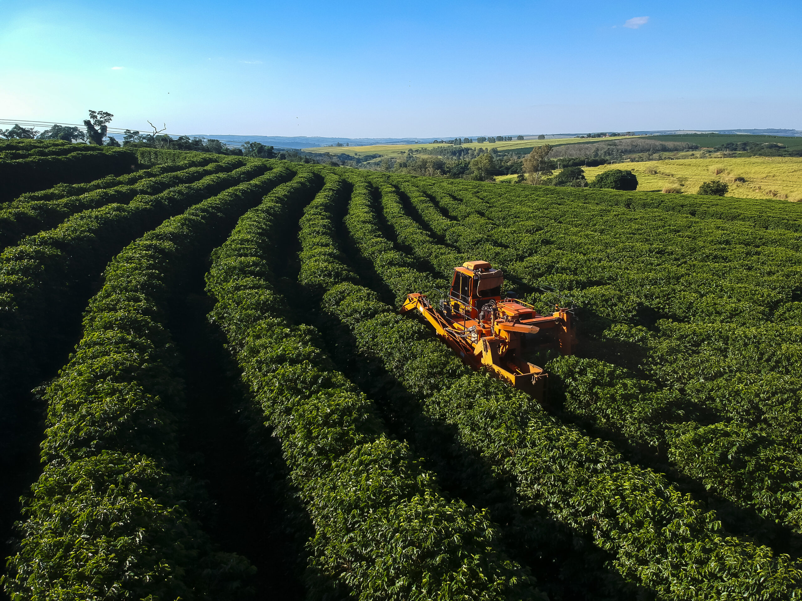 O agro na mira (ou na brecha?) do tarifaço norte-americano